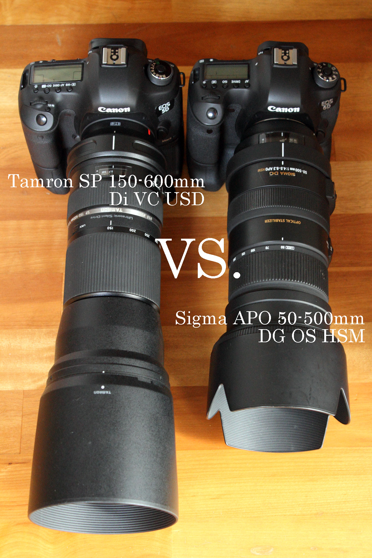 タムロン 150-600mm vs シグマ 50-500mm
